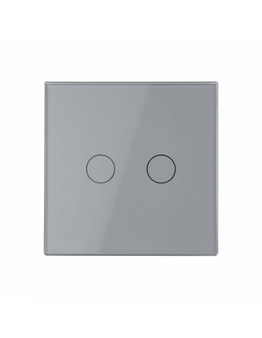 Włącznik dotykowy podwójny Livolo WiFi (EC) Szary