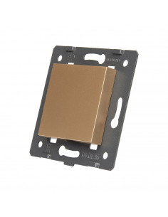 Zaślepka pełnego modułu...