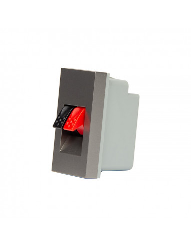 Livolo moduł audio zaciskowy szary